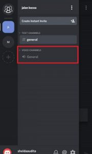 voice to discord 2