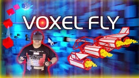 voxel fly vr