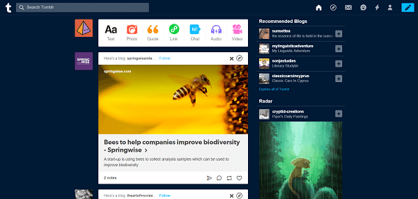 best tumblr alternative 2
