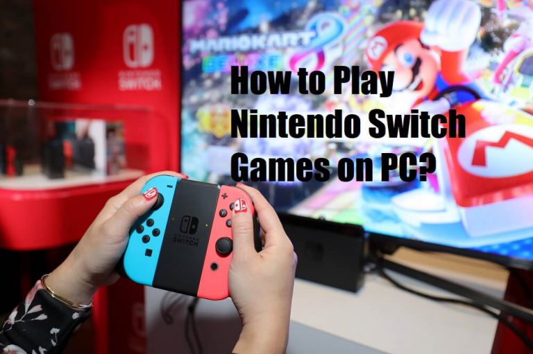 how to play nintendo switch games on pc