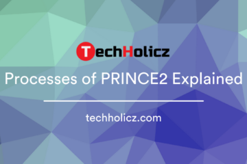 process of prince 2